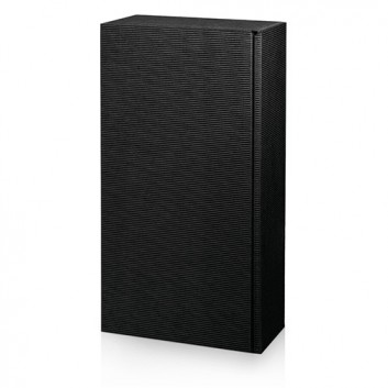  Präsent-Flaschenkarton für Postversand; für 2 Flaschen oder 1000g-Stollen; uni - auch innen farbig; schwarz + innen schwarz; offene Welle - modern 