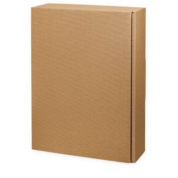  Präsent-Flaschenkarton für Postversand; für 3 Flaschen; uni - auch innen farbig; natur + innen natur; offene Welle - modern 