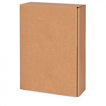  Präsent-Flaschenkarton für Postversand; für 3 Flaschen; uni; natur + innen natur; Natura - glatte Oberfläche 