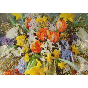  Lack-Geschenkpapier, extrafest; 70 x 100 cm; Fotomotiv: Frühlingsblumen; bunt; Lackpapier,extrastark-hochglänzend,glatt; Bogen einmal gelegt 