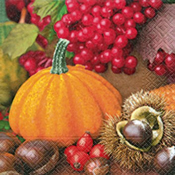  Paper + Design Servietten; 33 x 33 cm; Pumpkin & fruits; bunt; 21764; 3-lagig; 1/4-Falz (quadratisch); Zelltuch 
