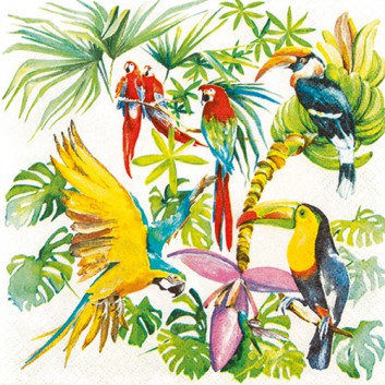  HomeFashion Servietten; 33 x 33 cm; Birds of Paradise: Tukan & Ara; bunt auf weiß; 211501; 3-lagig; 1/4 Falz (quadratisch); Zelltuch 