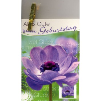  Skorpion Minikarte, mit Klämmerchen; 55 x75 mm; Zum Geburtstag; Blume lila; ohne Kuvert; Hochformat; 51sk5329 