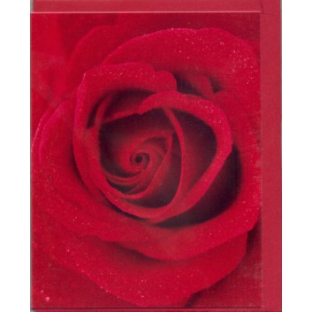  Skorpion Glückwunschkarte, Mini; 70 x 90 mm; ohne Text; Fotomotiv: Rose, rot; Ku: rot, naßklebend, Spitzklappe; Querformat; 95661 