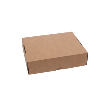  Maxibrief-Karton, 2-teilig; 130 x 100 x 45 mm; braun; E-Welle; Wellpappe; flachliegend, zum Zusammenstecken; 2-teiliger Stülpdeckelkarton; 40 g 