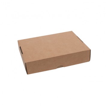  Maxibrief-Karton, 2-teilig; 200 x 160 x 45 mm; braun; E-Welle; Wellpappe; flachliegend, zum Zusammenstecken; 2-teiliger Stülpdeckelkarton; 77 g 