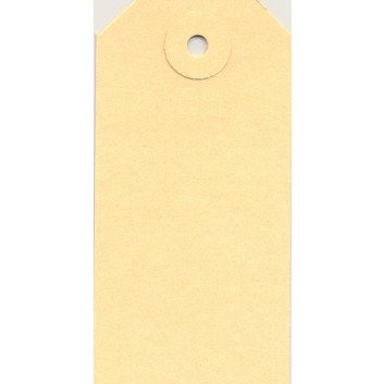  Hängeetiketten; 45 x 90 mm; chamois; mit Pappöse; ohne Faden, mit Aufhängeloch; 65 x 45 mm; Manilakarton; rechteckig, abgeschrägte Ecken 