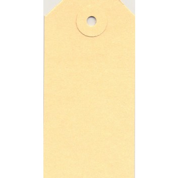  Hängeetiketten; 45 x 90 mm; chamois; mit Pappöse; ohne Faden, mit Aufhängeloch; 65 x 45 mm; Manilakarton 220 g/m² 