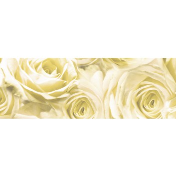  Ursus Transparent-Papier, Inspiration; Rosen champagner; DIN A4; 115 g/qm; transparent 