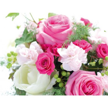  Skorpion Glückwunschkarte, Mini; 70 x 90 mm; ohne Text; Fotomotiv: Rosenbouquet, rosa-weiß; Ku: creme, naßklebend, Spitzklappe; Querformat 