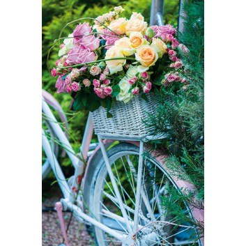  Skorpion Glückwunschkarte; 115 x 175 mm; ohne Text; Fotomotiv: Fahrrad mit Blumenkorb; Ku: pink, naßklebend, Spitzklappe; Hochformat; 49sk1870 