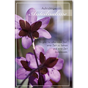  Trauerkarte; 115 x 175 mm; Aufrichtige Anteilnahme; Fotomotiv: violette Blumen; Ku:  weiß+Trauerstreifen, nk,Spitzklappe; Hochformat; 813024 