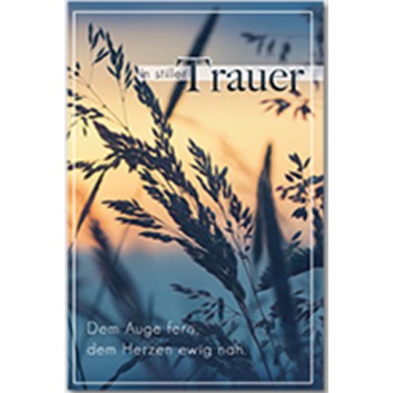  Trauerkarte; 115 x 175 mm; In stiller Trauer; Fotomotiv: Gräser vor Abendhimmel; Ku:  weiß+Trauerstreifen, nk,Spitzklappe; Hochformat; 813028 
