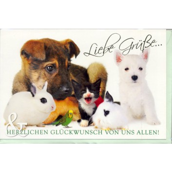  Skorpion Glückwunschkarte; 115 x 175 mm; Zum Geburtstag; Fotomotiv: meine lieben Haustiere; Ku: lindgrün, naßklebend, Spitzklappe; Hochformat 