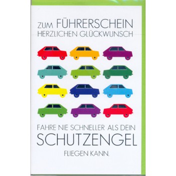  Skorpion Glückwunschkarte; 115 x 175 mm; Zum Führerschein; Autos; Ku: hellgrün, naßklebend, Spitzklappe; Hochformat; 44sk1039 
