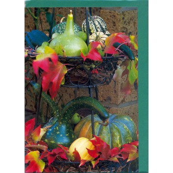  Glückwunschkarte; 115 x 175 mm; ohne Text; Fotomotiv: Kürbis, Zucchini , Herbstlaub; Ku: d-grün, naßklebend, Spitzklappe; Hochformat; 790620 
