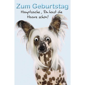 Skorpion Glückwunschkarte; 115 x 175 mm; Zum Geburtstag; Wackelaugen: Nackthund mit Haaren; Ku: hellblau, naßklebend, Spitzklappe; Hochformat 