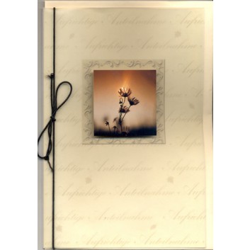  Sü Trauerkarte; 115 x 175 mm; Aufrichtige Anteilnahme; Foto: Blume im Gegenlicht; Ku: creme, naßklebend, Spitzklappe 