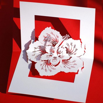  Glückwunschkarte mit Laserstanzung; 105 x 148 mm; ohne Text; Hibiskusblüte, rot hinterlegt; Ku: weiß, naßklebend, Spitzklappe 