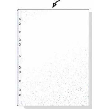  Prospekthülle Economic; für DIN A4; transparent, farblos; glasklar; oben offen; dokumentenecht mit Lochrandverstärkung; Polypropylen (PP); 0,05 mm 