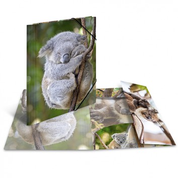  HERMA Sammelmappe GLOSSY Tiere; Koala; für DIN A4; aus stabilem Polypropylen; ca. 200 Blatt; mit Gummizugverschluß, 3 Klappen 
