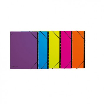  PAGNA Pultordner; verschiedene Farben; für DIN A4; stabiler Karton; 12 Unterteilungen; mit Gummizug, dehnbarer Rücken; 3 Schaulöcher im Buchblock 