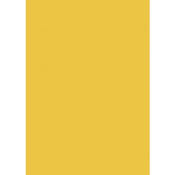  Heyda Fotokarton; DIN A4; mango; 300 g/qm; 18 