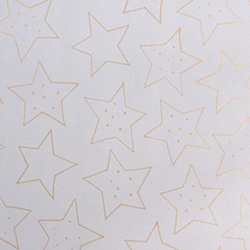  Weihnachts-Geschenkpapier, Großrolle; 50 cm / 70 cm x 250 m, Secare-Rolle; Sternzeit: Sterne groß; grau-gold; 88893 