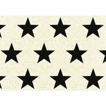  Braun & Company Graspapier-Weihnachtspapier; 70 cm x 1,5 m; Grand Star (Sterme); schwarz auf natur; 22601; Graspapier; Röllchen; ca. 80 g/qm 