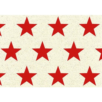  Braun & Company Graspapier-Weihnachtspapier; 70 cm x 1,5 m; Grand Star (Sterme); rot auf natur; 22602; Graspapier; Röllchen; ca. 80 g/qm 