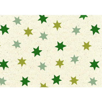  Braun & Company Graspapier-Weihnachtspapier; 70 cm x 1,5 m; Iceland: Sterne; grün auf natur; 23602; Graspapier; Röllchen; ca. 80 g/qm 