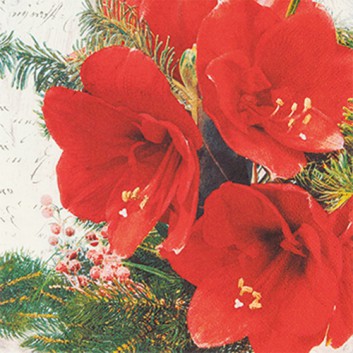  HomeFashion Weihnachts-Cocktail-Servietten; 25 x 25 cm; Red Amarylis: Fotomotiv, rote Amarylis; rot; 511915; 3-lagig; 1/4 Falz (quadratisch) 