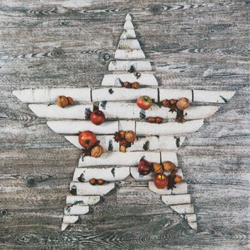  HomeFashion Weihnachts-Servietten; 33 x 33 cm; Natural Star; 611712; 3-lagig; 1/4 Falz (quadratisch); Zelltuch 