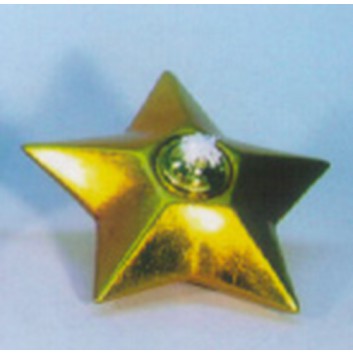  Öllicht; Stern; gold; 14 cm 