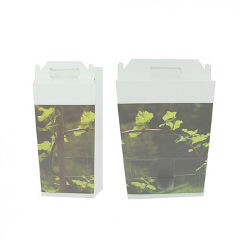  Flaschen-Tragekarton zum Überreichen; für 2 oder 3 Flaschen; Fotomotiv: Weinstock; grün-weiß; mit Fensterstanzung; glatte Oberfläche 