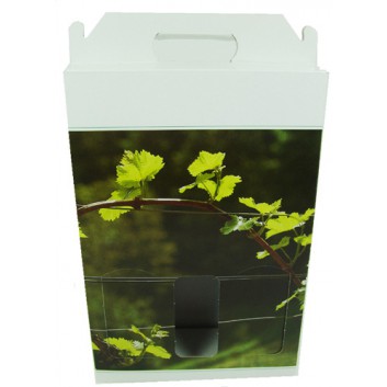  Flaschen-Tragekarton zum Überreichen; für 3 Flaschen; Fotomotiv: Weinstock; grün-weiß; mit Fensterstanzung; glatte Oberfläche 