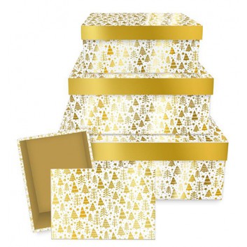  Geschenkkarton; 220 x 140 x 60, Deckelhöhe: 20 mm; verschiedene Motive; Rechteck, Standard; Vollpappe, kaschiert; innen weiß 