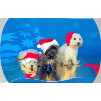  Weihnachts-Kissenkarton; ca. 111 x 111 x ca. 30 mm (L x; Hunde mit Nikolausmütze; Rückseite mit Beschriftungsfel 
