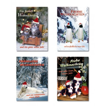  Sü Weihnachtskarten; 105x145 mm; Tierfotomotive:Hund,Katze,Eisbär,Pinguin; 4 Motivstellungen sortiert; 22-0174; Hochformat; weiß 