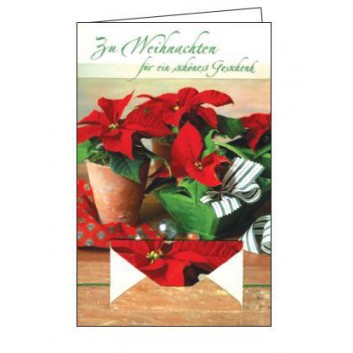  Skorpion Weihnachtskarte, Geldgeschenk; 115 x 175 mm; Fotomotiv: Weihnachtsstern; rot-grün; 22-3353; Hochformat; grün 