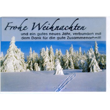  Sü Weihnachtskarte mit Firmentext; 165 x 115 mm; Winterlandschaft, silberne Schrift; grau-weiß; 22-L506; Querformat; weiß 