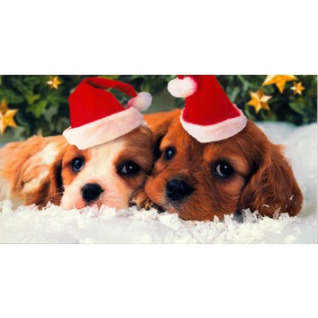  Horn Weihnachts-Postkarten; 12,5 x 23 cm; Hundewelpen mit Nikolausmützen; braun; 22-H3322 