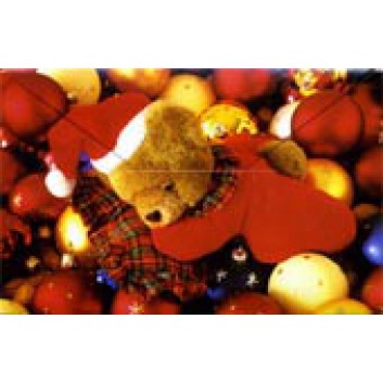  Sü Weihnachts-Geldgeschenkkarte; 105 x 65 mm; Fotomotiv: Teddy; 23-4502 