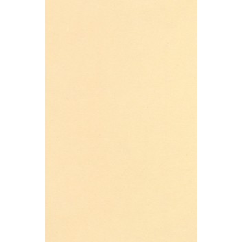  Schablonenkarton/Modellkarton - Classic; 150 cm x 90 m; beigebraun, satiniert; 320 g/qm; Rollen ca. 43kg / Hülse 15cm / DU: 26cm 
