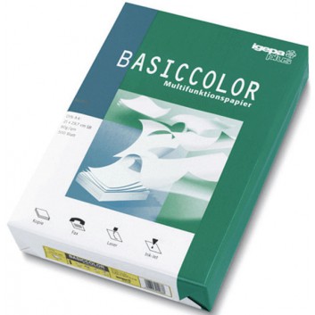  Coloured Paper Multifunktionspapier; verschiedene Farben; DIN A4; 80 g/qm; matt; Inkjet - und Laserdrucker; Eu-Blume und PEFC-zertifiziert 