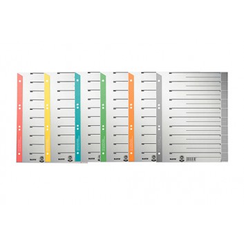  LEITZ Trennblatt; verschiedene Farben; 238 x 300 mm (für DIN A4+); mit ausschneidbaren Taben; Kraftkarton 230 g /qm; 6fach Lochung, hinterklebt 