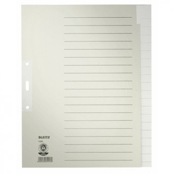  LEITZ Blankoregister 20tlg.; grau; 240 x 300 mm (für DIN A4+, Überbreite); Blanko, verstärkt; Recyclingpapier; 2fach Lochung; 20 Blatt 